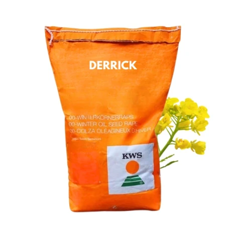 Nasiona rzepaku ozimego "Derrick" Buteo Start + SCENIC GOLD - odmiana od KWS