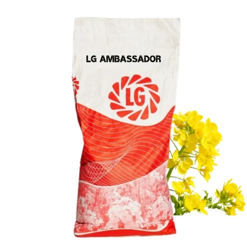 Przejdź do produktu Rzepak Ozimy LG "AMBASSADOR" F1 SCENIC GOLD + LUMIPOSA + STARCOVER