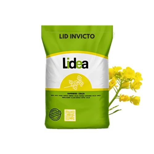 Przejdź do produktu Nasiona rzepaku ozimego odmiany LIDEA LID INVICTO F1 C1 1,5MLN INTEGRAL PRO LUMIPOSA