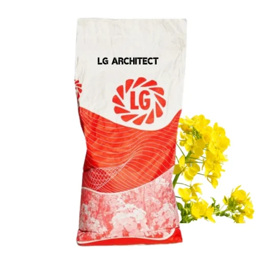 Przejdź do produktu Rzepak Ozimy LG "ARCHITECT" SCENIC GOLD + LUMIPOSA + STARCOVER 