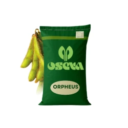 Nasiona SOJA ORPHEUS, OSEVA, AGROYOUMIS,
