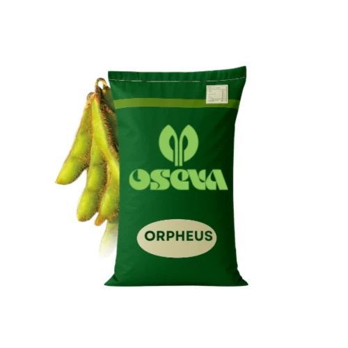 Przejdź do produktu Nasiona SOJA ORPHEUS, OSEVA, AGROYOUMIS,