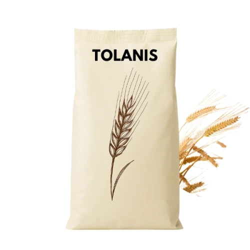 Przejdź do produktu Jęczmień ozimy typ Tolanis C1 z zaprawą Maxim Power+Dynavit worek 25 KG