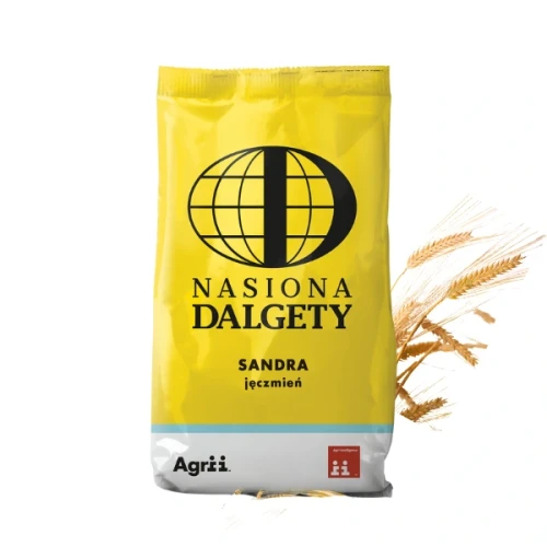 Przejdź do produktu Jęczmień ozimy dwurzędowy Sandra zaprawiony VIBRANCE GOLD C1 - worek 25kg 
