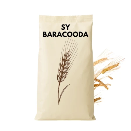 Jęczmień ozimy hybrydowy BARACOODA C1 zaprawiony VIBRANCE STAR 2j.s. na HA (0,9ml nasion)