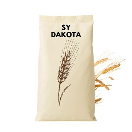 Jęczmień ozimy hybrydowy DAKOTA C1 zaprawiony VIBRANCE STAR 2j.s. na HA (0,9ml nasion)