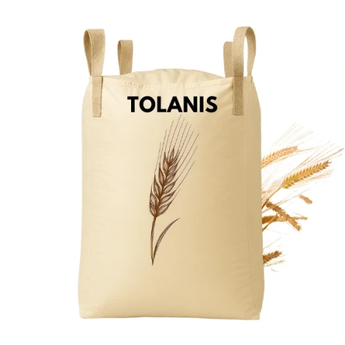 Przejdź do produktu Jęczmień ozimy typ Tolanis C1 z zaprawą Maxim Power BIG BAG 500 KG