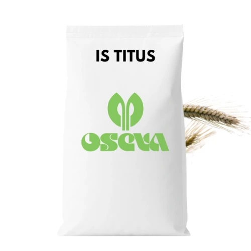 Przejdź do produktu Pszenżyto ozime IS Titus zaprawione Redigo Pro 170 FS OSEVA 40 KG