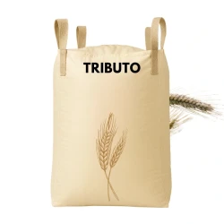 Pszenżyto ozime TRIBUTO C1 zaprawione MAXIM 025FS BIG BAG 500 KG