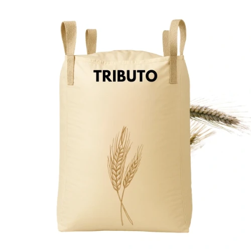 Przejdź do produktu Pszenżyto ozime TRIBUTO C1 zaprawione MAXIM 025FS BIG BAG 500 KG