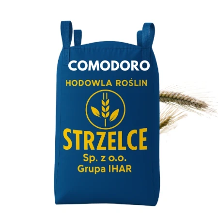 Pszenżyto ozime COMODORO C1 zaprawione SEEDRON BIG BAG 500 KG