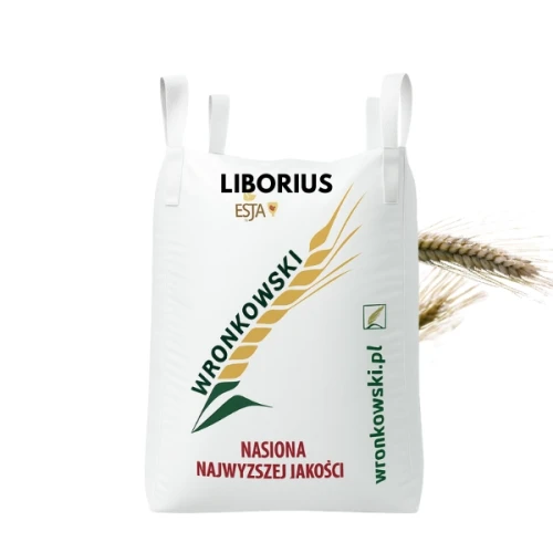 Przejdź do produktu Pszenżyto ozime LIBORIUS C1 zaprawione MAXIM POWER BIG BAG 500 KG