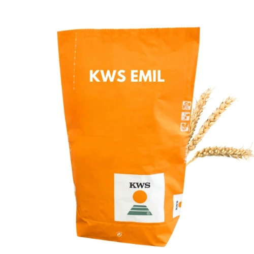 Przejdź do produktu Pszenica ozima KWS EMIL 25 KG