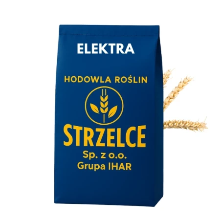 Pszenica ozima ELEKTRA HR STRZELCE C1 zaprawiona KINTO PLUS 50kg