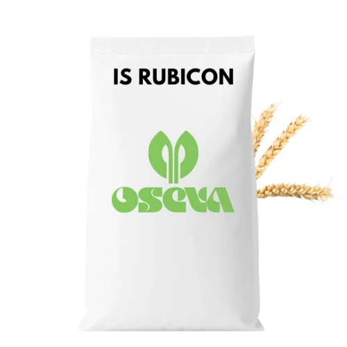 Przejdź do produktu  Pszenica ozima IS Rubicon zaprawiona PREMIS PLUS OSEVA 50 KG