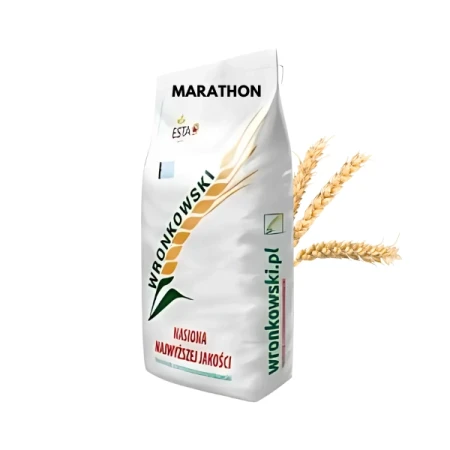 Pszenica ozima MARATHON C1 zaprawiona MAXIM POWER worek 50 kg