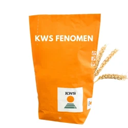 Pszenica ozima FENOMEN (oścista) C1 zaprawiona MAXIM POWER 50 KG