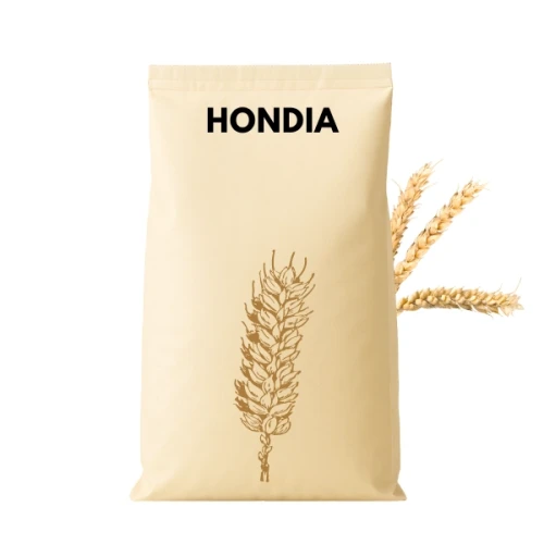 Przejdź do produktu Pszenica ozima HONDIA C1 zaprawiona VIBRANCE STAR 50 KG