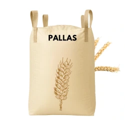 Pszenica ozima PALLAS C1 z zaprawą Maxim Power + Dynavit Big Bag 500 KG