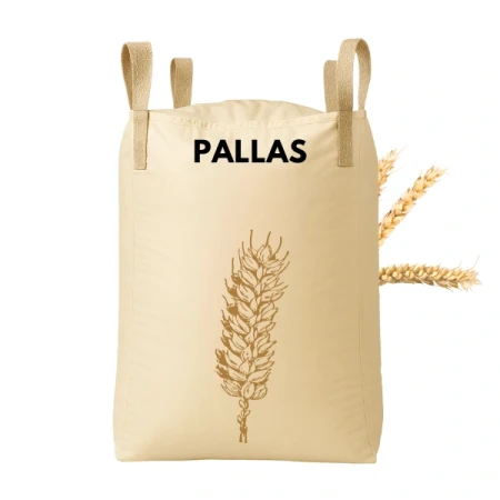 Pszenica ozima PALLAS C1 z zaprawą Maxim Power + Dynavit Big Bag 500 KG