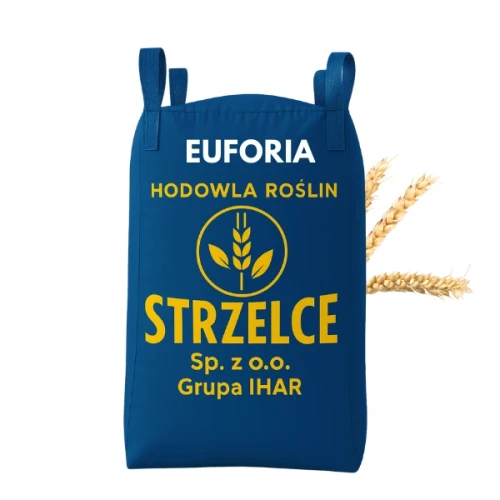 Przejdź do produktu Pszenica ozima EUFORIA HR STRZELCE zaprawiona KINTO PLUS BIG BAG 500kg