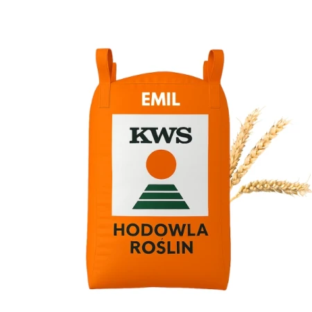 Pszenica ozima KWS EMIL big bag 500 KG