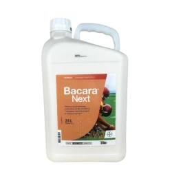 Bacara Next 560 SC 15l herbicyd doglebowo-nalistny