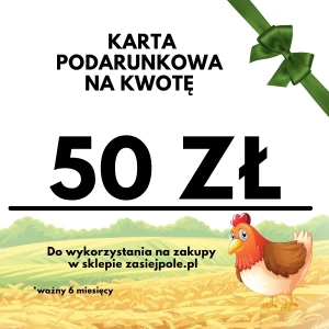 Karta podarunkowa 50 zł, pomysł na prezent