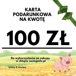 Karta podarunkowa 100 zł, pomysł na prezent