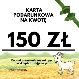 Karta podarunkowa 150 zł, pomysł na prezent