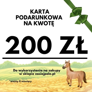 Karta podarunkowa 200 zł, pomysł na prezent