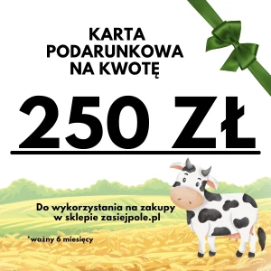 Karta podarunkowa 250 zł, pomysł na prezent 
