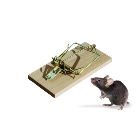 Łapka, pułapka drewniana na myszy BROS