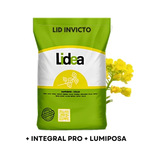 Przejdź do produktu Nasiona rzepaku ozimego odmiany LIDEA LID INVICTO F1 C1 1,5MLN