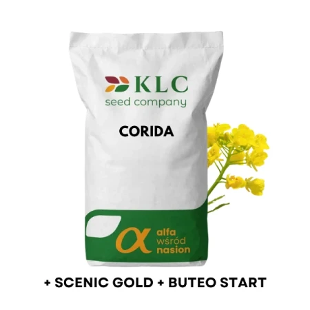 Nasiona rzepaku ozimego CORIDA, C1 + Scenic Gold + Buteo Start od KLC