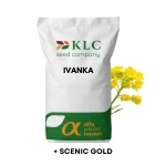 Nasiona rzepaku ozimego IVANKA, C1 + Scenic Gold od KLC