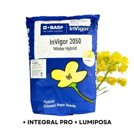 Nasiona rzepaku ozimego InVigor 2050 C1 Lumiposa+Integral Pro