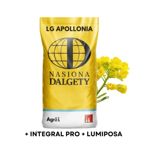 Przejdź do produktu Nasiona rzepaku ozimego, C1, LG APOLLONIA