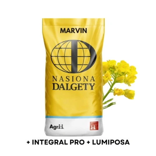 Przejdź do produktu Nasiona rzepaku ozimego, C1, MARVIN