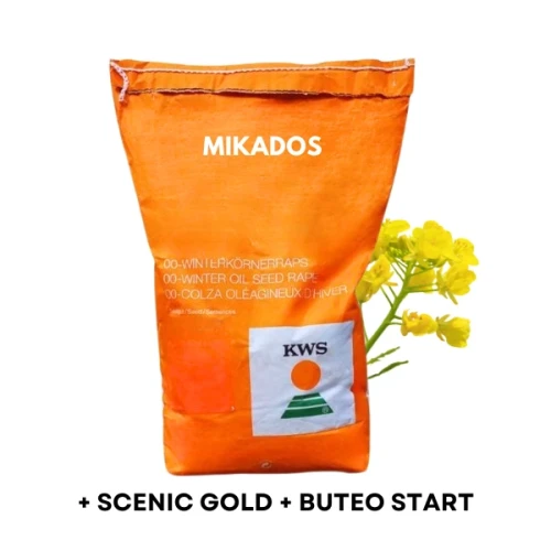 Przejdź do produktu Rzepak ozimy KWS Mikados F1
