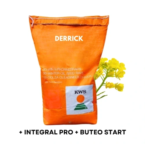 Przejdź do produktu Nasiona rzepaku ozimego "Derrick"