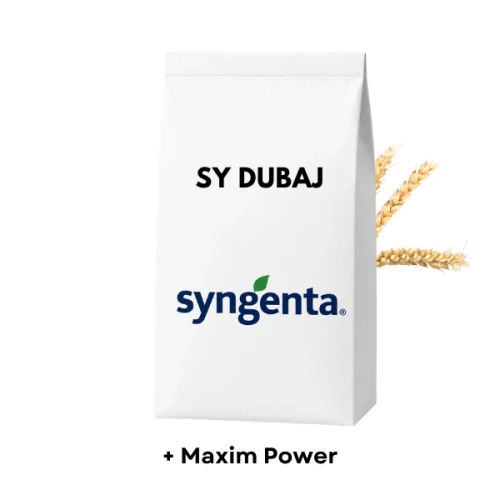 Przejdź do produktu Pszenica ozima DUBAJ Syngenta