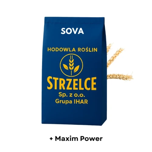 Przejdź do produktu Pszenica ozima Sova C1, 50 kg
