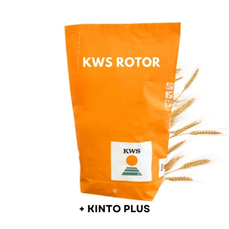 Żyto ozime hybrydowe Rotor C1