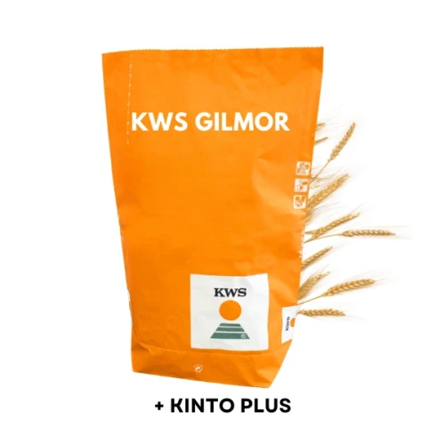 Przejdź do produktu Żyto ozime KWS GILMOR zaprawione KINTO PLUS, C1 Hybrydowe