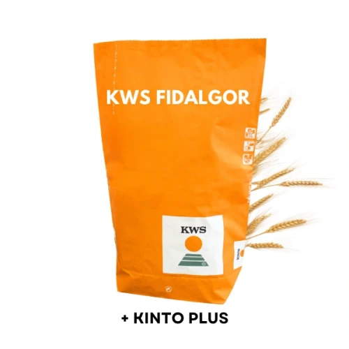 Przejdź do produktu Żyto ozime KWS FIDALGOR zaprawione KINTO PLUS, C1 hybrydowe