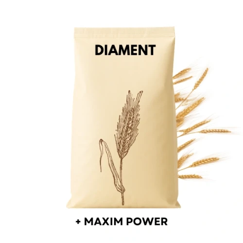 Przejdź do produktu Żyto ozime DIAMENT zaprawione KINTO PLUS 25kg
