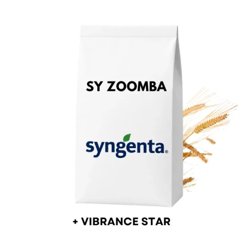 Przejdź do produktu Jęczmień ozimy hybrydowy SY Zoomba C1