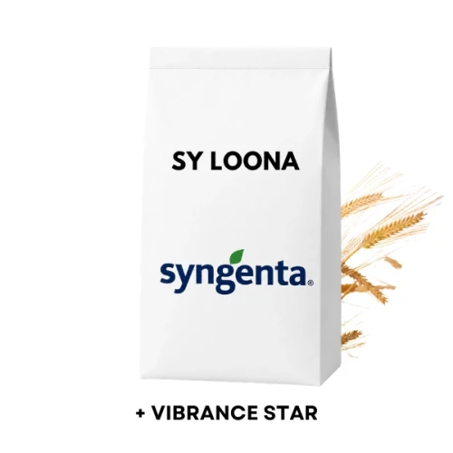 Przejdź do produktu Jęczmień ozimy hybrydowy LOONA C1 zaprawiony VIBRANCE STAR 2j.s. na HA (0,9ml nasion)