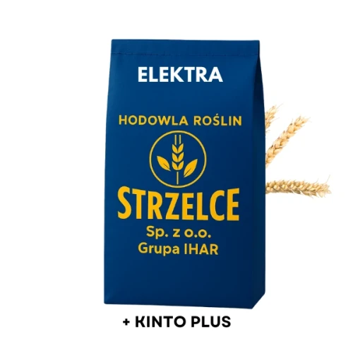 Przejdź do produktu Pszenica ozima ELEKTRA HR STRZELCE C1 zaprawiona KINTO PLUS 50kg